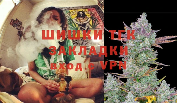 эйфоретик Дмитриев