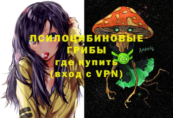 гидра Дмитровск