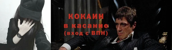винт Дмитров