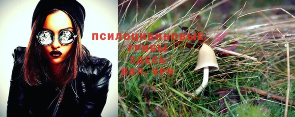 винт Дмитров
