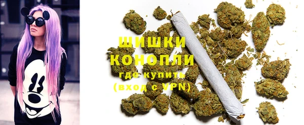 эйфоретик Дмитриев